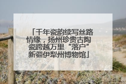 千年瓷韵续写丝路情缘，扬州珍贵古陶瓷跨越万里“落户”新疆伊犁州博物馆