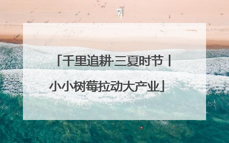 千里追耕·三夏时节丨小小树莓拉动大产业