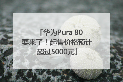 华为Pura 80要来了！起售价格预计超过5000元