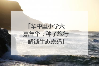 华中里小学六一嘉年华：种子旅行解锁生态密码