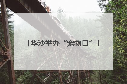 华沙举办“宠物日”
