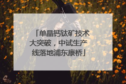 单晶钙钛矿技术大突破，中试生产线落地浦东康桥