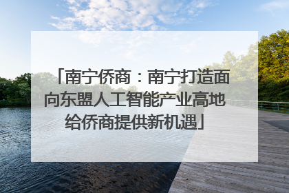南宁侨商：南宁打造面向东盟人工智能产业高地给侨商提供新机遇