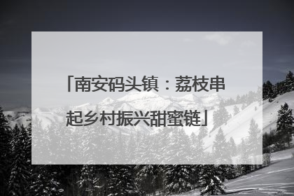 南安码头镇：荔枝串起乡村振兴甜蜜链