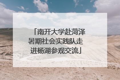 南开大学赴菏泽暑期社会实践队走进杨湖参观交流