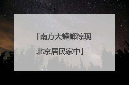 南方大蟑螂惊现北京居民家中