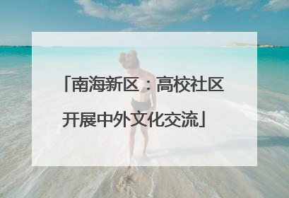 南海新区：高校社区开展中外文化交流