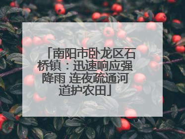 南阳市卧龙区石桥镇：迅速响应强降雨 连夜疏通河道护农田