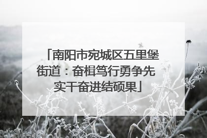 南阳市宛城区五里堡街道：奋楫笃行勇争先 实干奋进结硕果