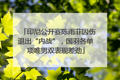 印尼公开赛陈雨菲因伤退出“内战”，国羽各单项唯男双表现差劲