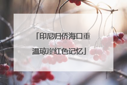 印尼归侨海口重温琼崖红色记忆