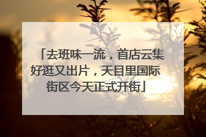 去班味一流，首店云集好逛又出片，天目里国际街区今天正式开街