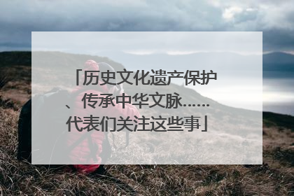 历史文化遗产保护、传承中华文脉……代表们关注这些事