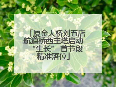 厦金大桥刘五店航道桥西主塔启动“生长” 首节段精准落位