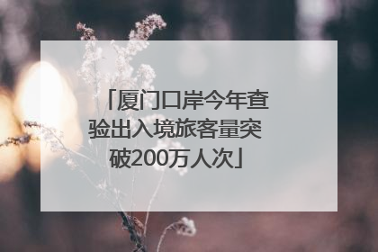 厦门口岸今年查验出入境旅客量突破200万人次