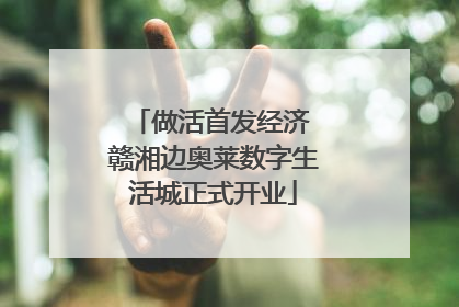 做活首发经济 赣湘边奥莱数字生活城正式开业