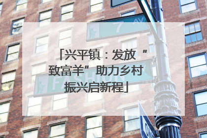 兴平镇：发放“致富羊”助力乡村振兴启新程