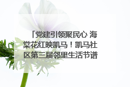 党建引领聚民心 海棠花红映凯马！凯马社区第三届邻里生活节谱写幸福新篇章