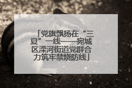 党旗飘扬在“三夏”一线——宛城区溧河街道党群合力筑牢禁烧防线