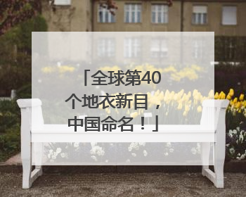 全球第40个地衣新目，中国命名！