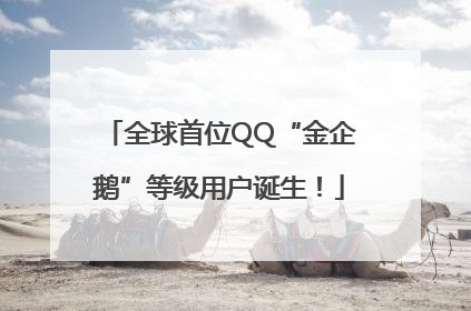 全球首位QQ“金企鹅”等级用户诞生！