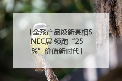 全系产品焕新亮相SNEC展 领跑“25%”价值新时代
