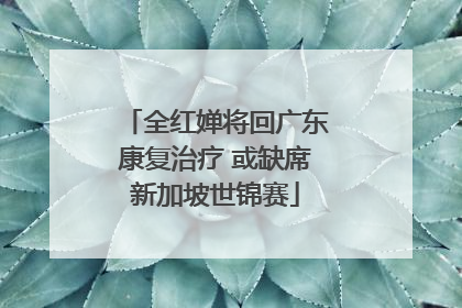 全红婵将回广东康复治疗 或缺席新加坡世锦赛