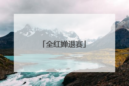 全红婵退赛