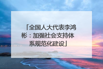 全国人大代表李鸿彬：加强社会支持体系规范化建设