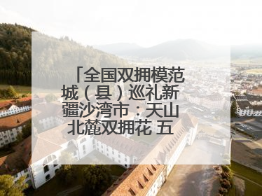 全国双拥模范城（县）巡礼新疆沙湾市：天山北麓双拥花 五届蝉联铸辉煌