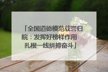 全国道德模范载誉归皖：发挥好榜样作用 扎根一线拼搏奋斗