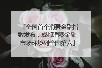 全国首个消费金融指数发布，成都消费金融市场环境列全国第六