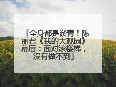 全身都是淤青！陈丽君《我的大观园》幕后：面对滚楼梯，没有做不到
