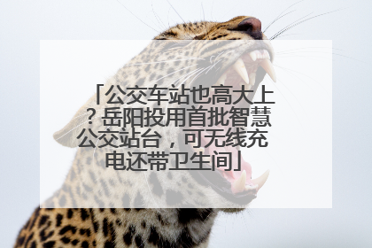 公交车站也高大上？岳阳投用首批智慧公交站台，可无线充电还带卫生间