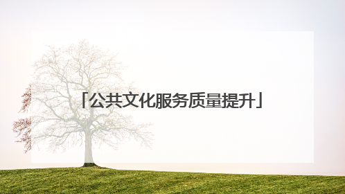 公共文化服务质量提升