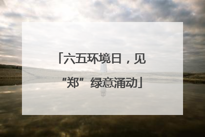 六五环境日，见“郑”绿意涌动