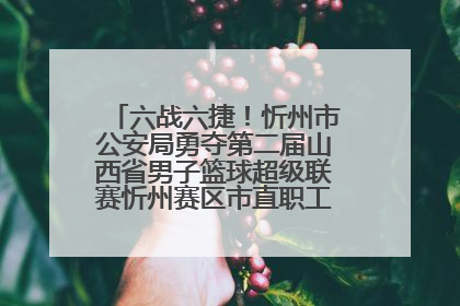 六战六捷！忻州市公安局勇夺第二届山西省男子篮球超级联赛忻州赛区市直职工组比赛冠军