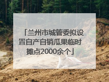 兰州市城管委拟设置自产自销瓜果临时摊点2000余个
