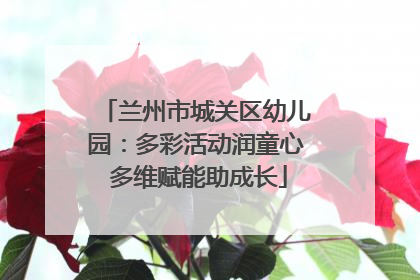兰州市城关区幼儿园：多彩活动润童心 多维赋能助成长