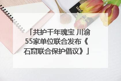 共护千年瑰宝 川渝55家单位联合发布《石窟联合保护倡议》