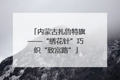 内蒙古扎鲁特旗——“绣花针”巧织“致富路”