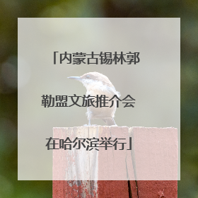 内蒙古锡林郭勒盟文旅推介会在哈尔滨举行