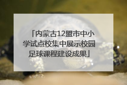 内蒙古12盟市中小学试点校集中展示校园足球课程建设成果