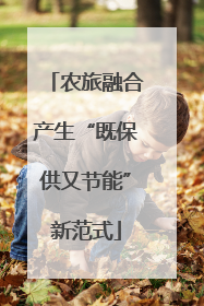 农旅融合产生“既保供又节能”新范式