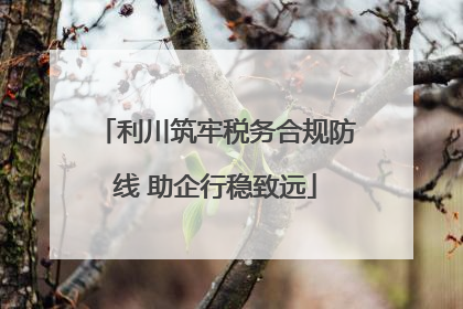 利川筑牢税务合规防线 助企行稳致远