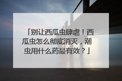 别让西瓜虫肆虐！西瓜虫怎么彻底消灭，潮虫用什么药最有效？