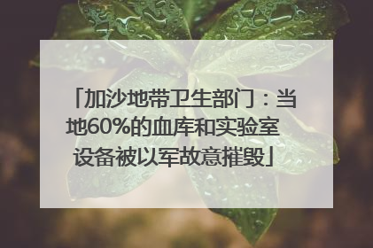 加沙地带卫生部门：当地60%的血库和实验室设备被以军故意摧毁