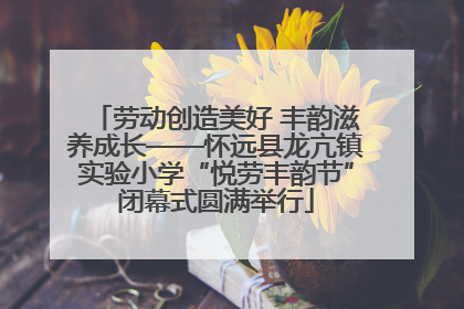 劳动创造美好 丰韵滋养成长——怀远县龙亢镇实验小学“悦劳丰韵节”闭幕式圆满举行