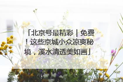 北京号最精彩｜免费！这些京城小众凉爽秘境，溪水清透美如画