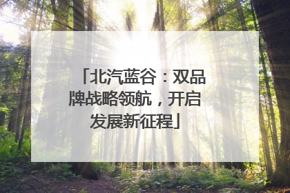 北汽蓝谷：双品牌战略领航，开启发展新征程